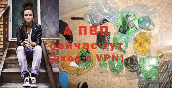 СК Абинск