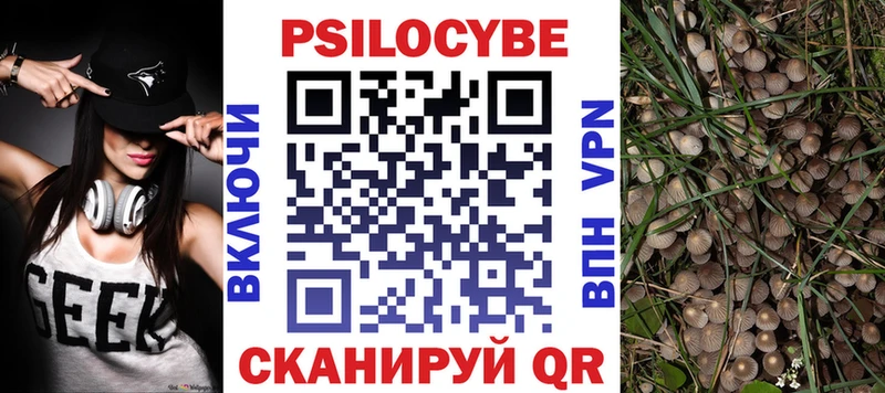 Галлюциногенные грибы мицелий  купить закладку  Электросталь 