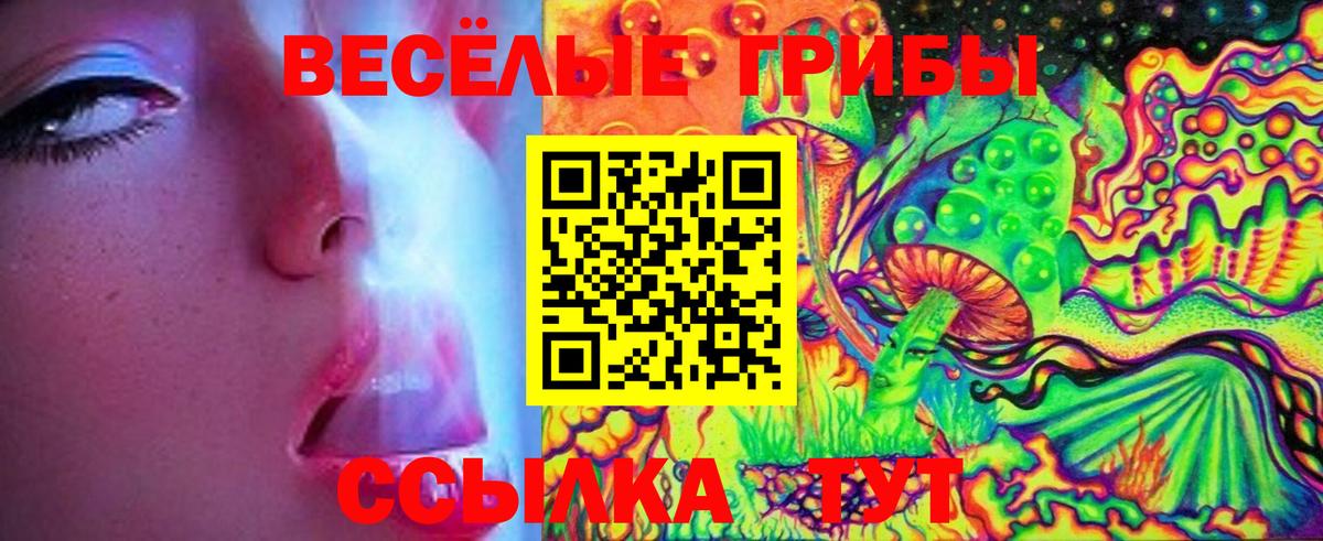 Псилоцибиновые грибы MAGIC MUSHROOMS Электросталь