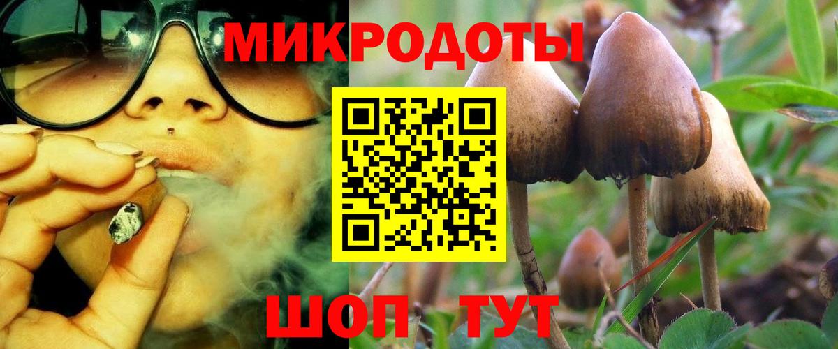 Электросталь  Псилоцибиновые грибы Magic Shrooms  Вход с VPN  Псилоцибиновые грибы GOLDEN TEACHER 